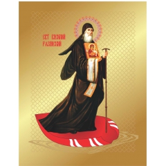 Икона Святитель Васи́лий Рязанский